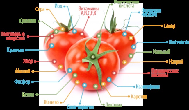 Базилик польза помидоры